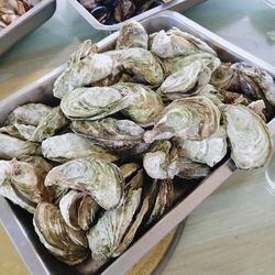 黄抖音免费注册界面